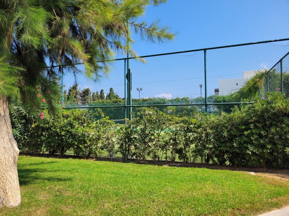 Gartenanlage TUI BLUE Oceanis Beach and Spa Resort