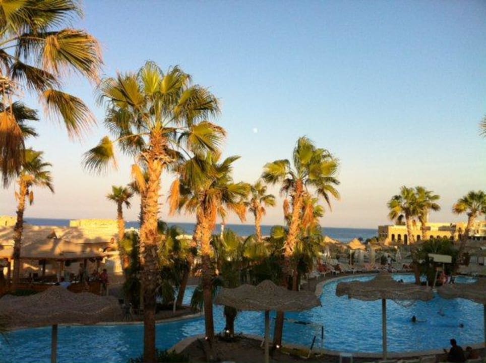 Blick vom Zimmer Pickalbatros Citadel Resort