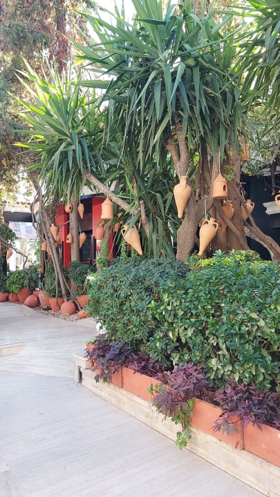 Gartenanlage Hotel Club Sera