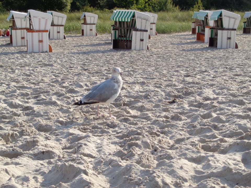 Strand Seehotel Großherzog von Mecklenburg