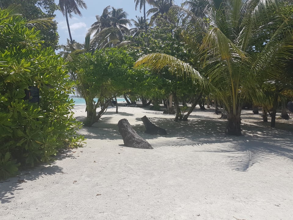 Paradies  Meeru Maldives Resort Island