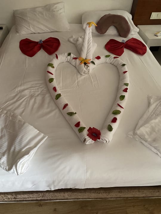 Zimmer Seaden Sea World Resort & Spa