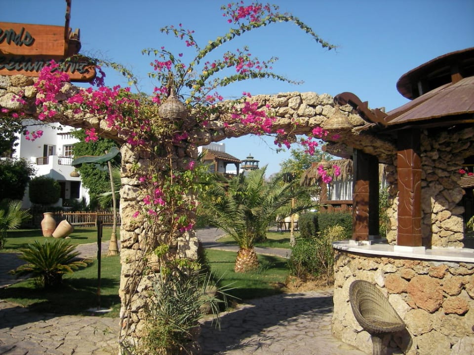 Außenberecih des Restaurants Hotel Delta Sharm Resort