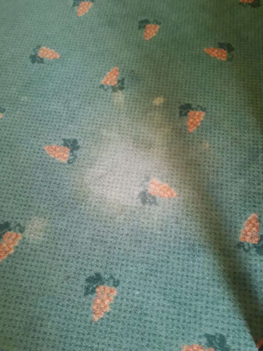 gepflegter Teppich Best Western Wein- & Parkhotel Nierstein