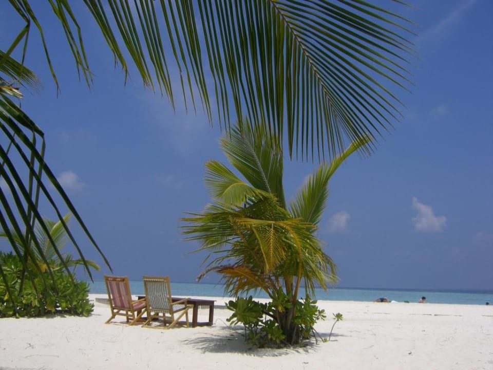 Sunset Bar Vilamendhoo Island Resort & Spa