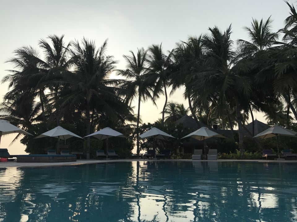 Pool Veligandu Maldives Resort Island