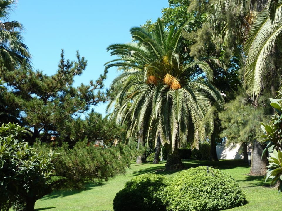 Traumhaft schön Side Star Elegance