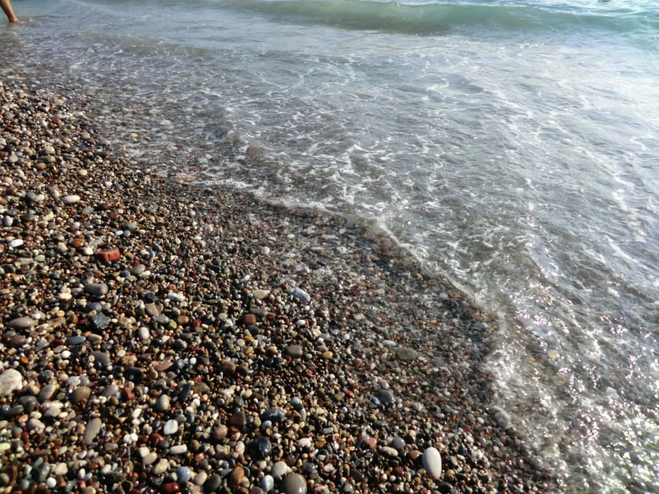 Kiesstrand Botanik Hotel & Resort