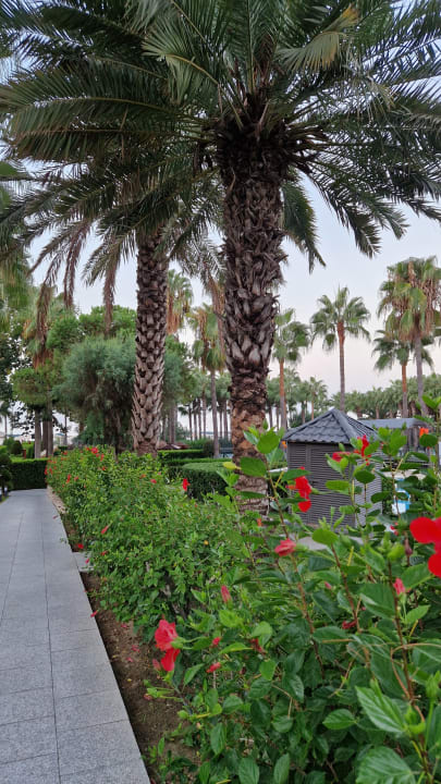 Gartenanlage Hotel Miramare Beach