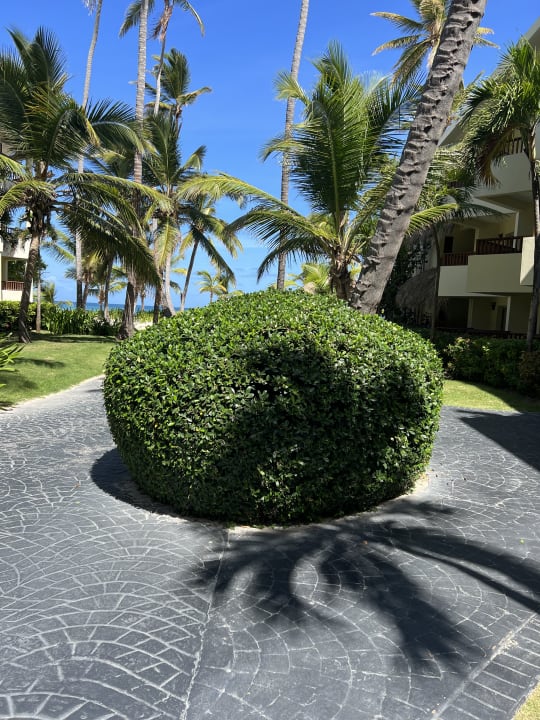 Außenansicht Impressive Premium Punta Cana