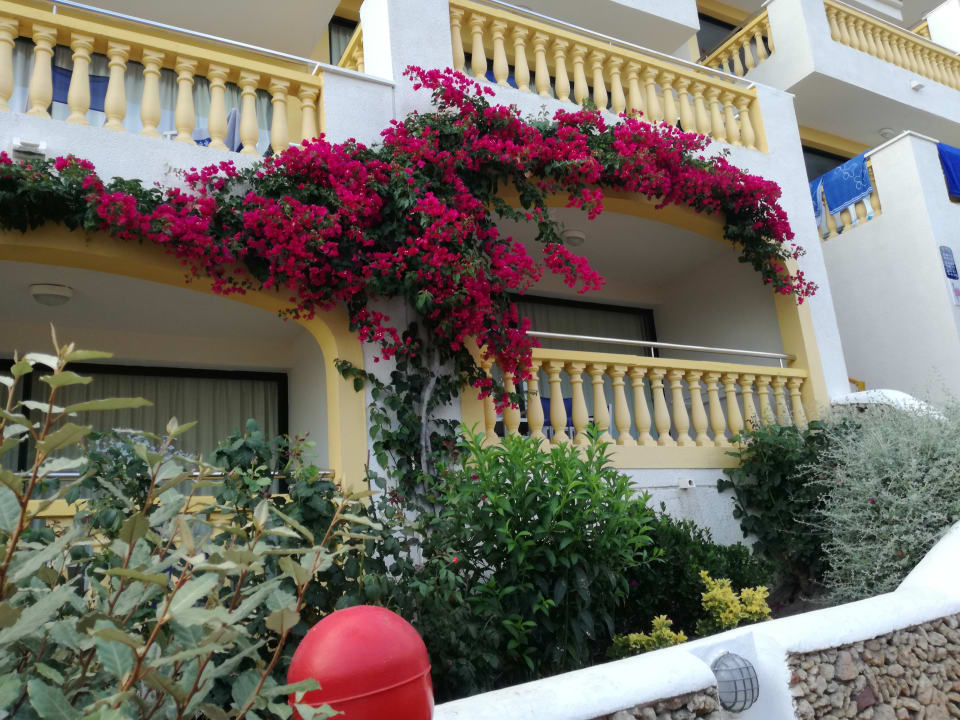 Gartenanlage Royal Son Bou Family Club