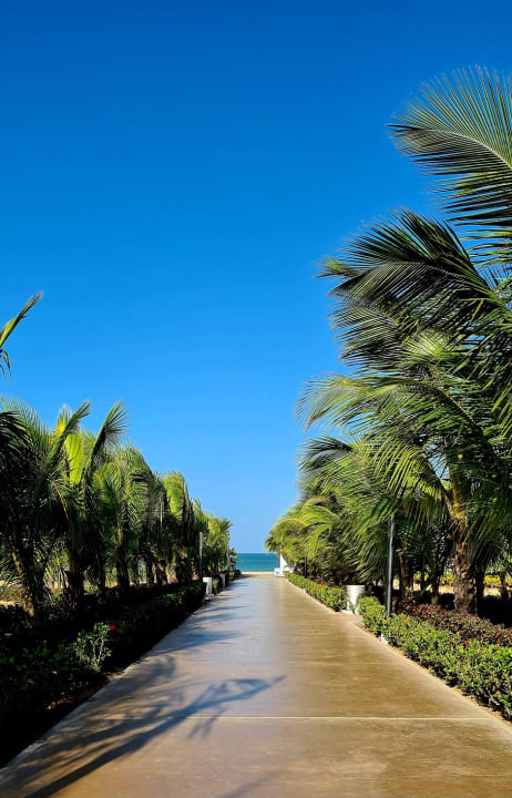 Gartenanlage Hotel Riu Palace Boavista