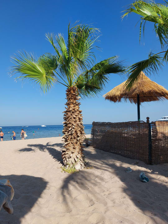 Strand Lotus Bay Beach Resort