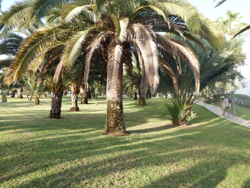 Gartenanlage Hotel Riu Gran Canaria