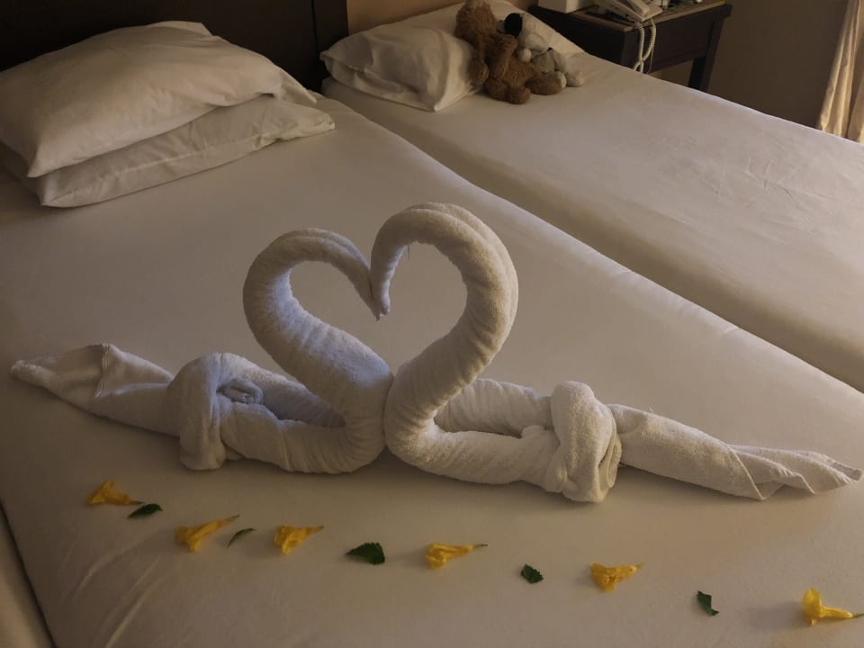 Zimmer Jaz Dar EL Madina