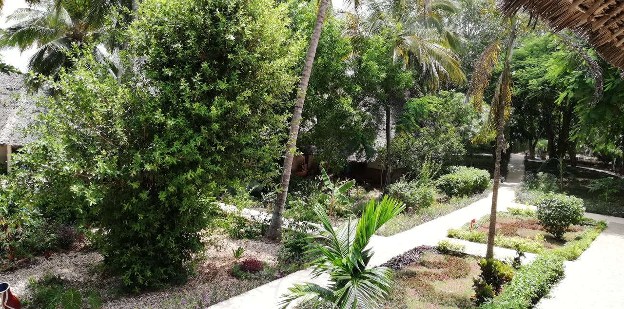 Gartenanlage Hotel Kiwengwa Beach Resort