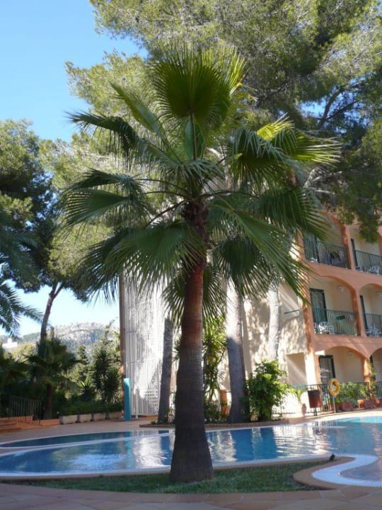 Ein Teil des Hotelpools Valentin Somni Hotel & Suites