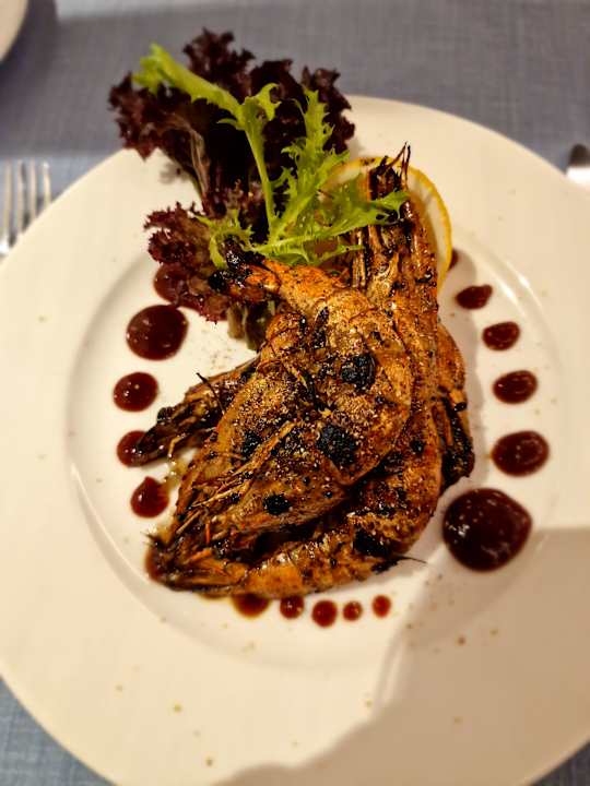 Gastro Seashell Vega