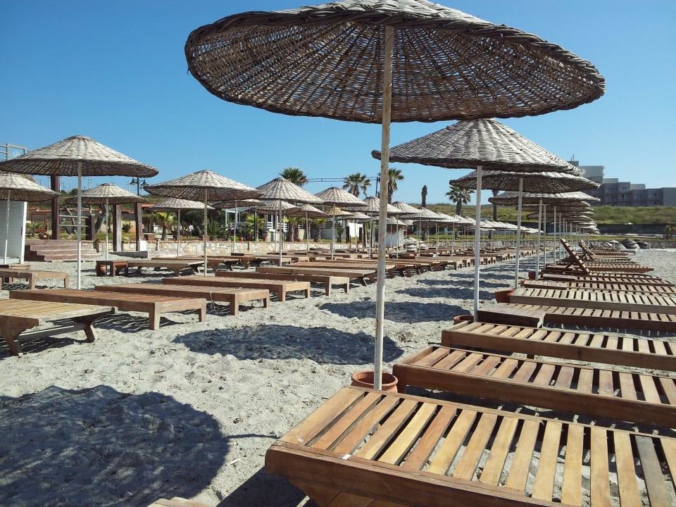 Erholsam Cocos The Club Solto