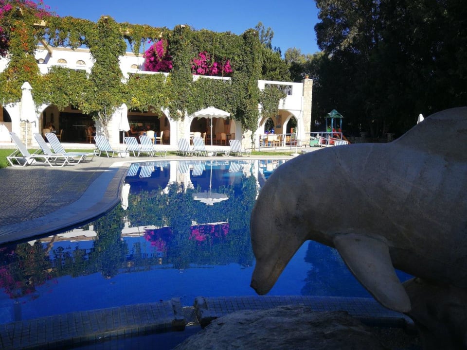 Pool Ekaterini Hotel