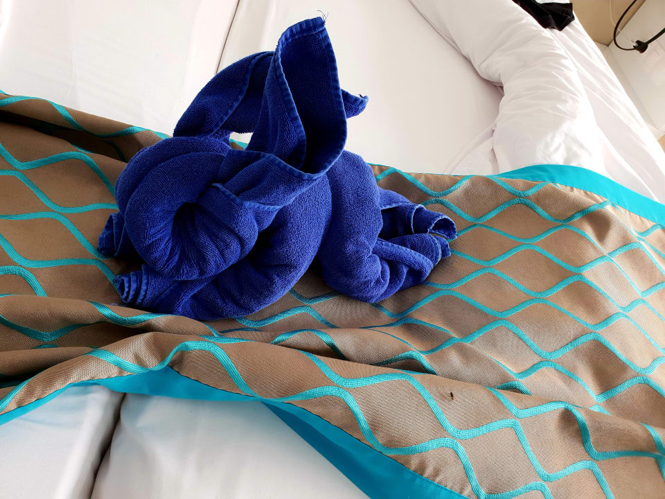 Zimmer Sentido Marea