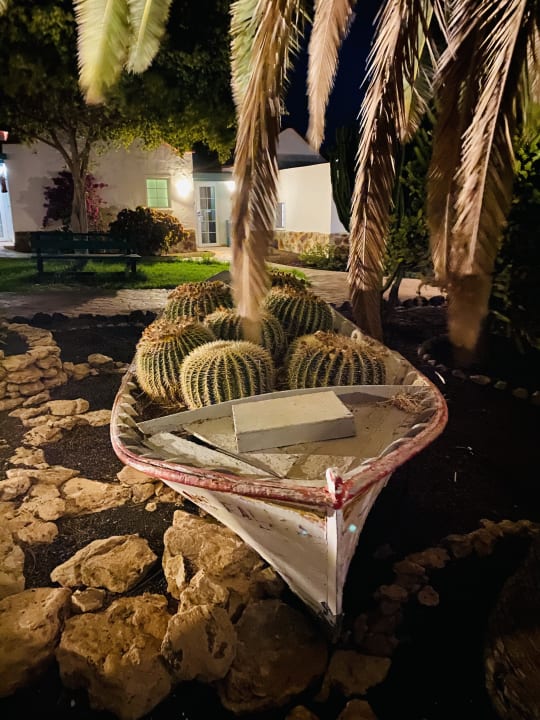 Gartenanlage Aldiana Club Fuerteventura