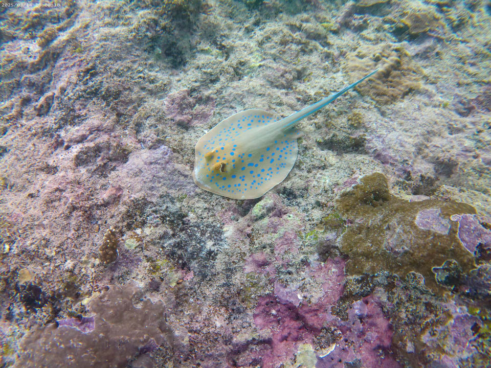 Strand Casa Mare Resort