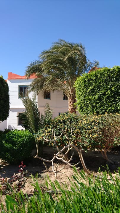 Gartenanlage Hotel Coral Garden