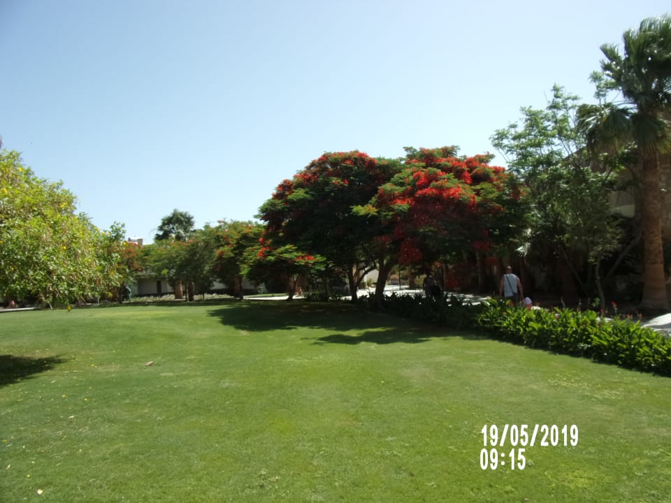 Gartenanlage Brayka Bay Resort