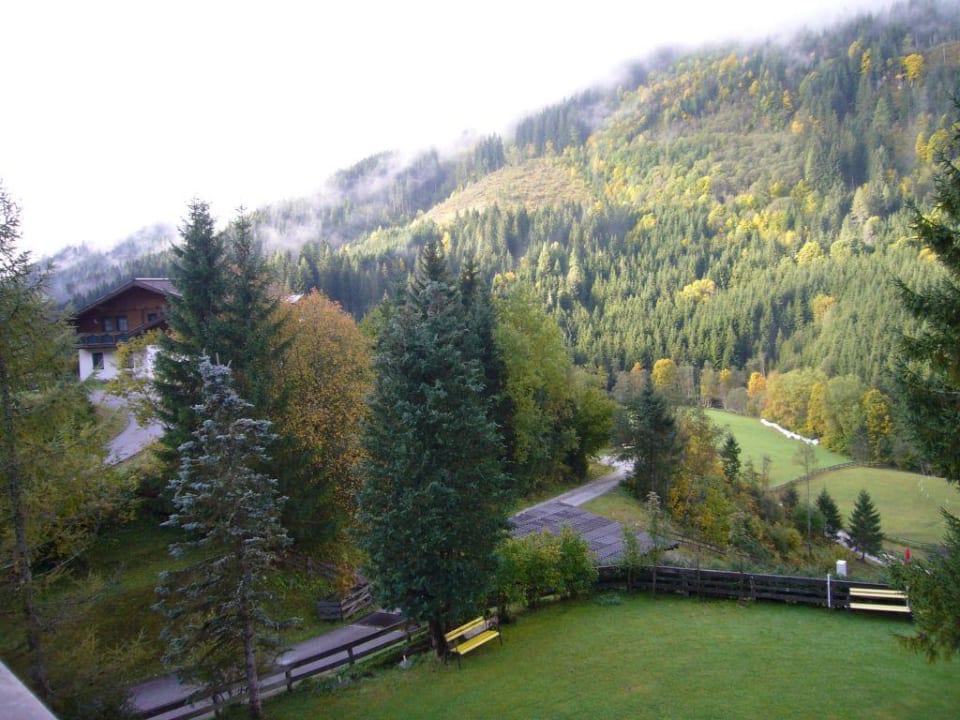 Ausblick Zi 204 Gasthof Forellenhof Hammerwirt Gasthof Forellenhof Hammerwirt