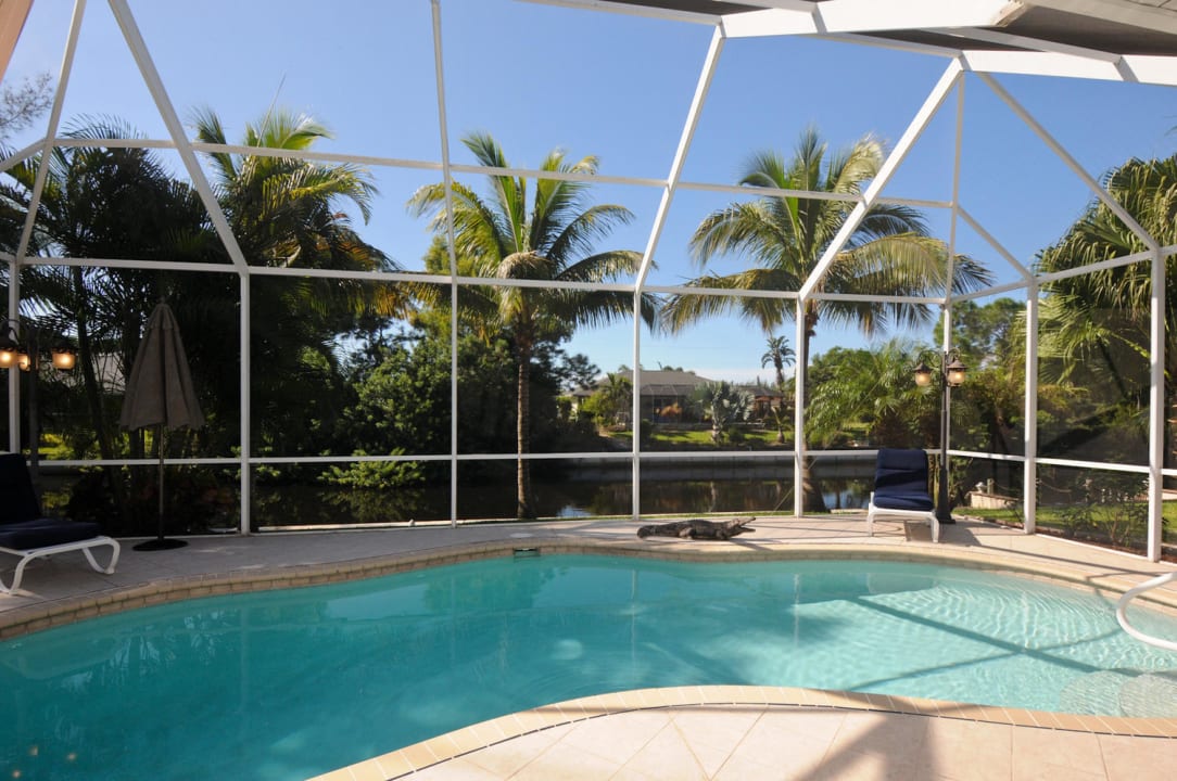 Der schöne Pool Villa Ibis