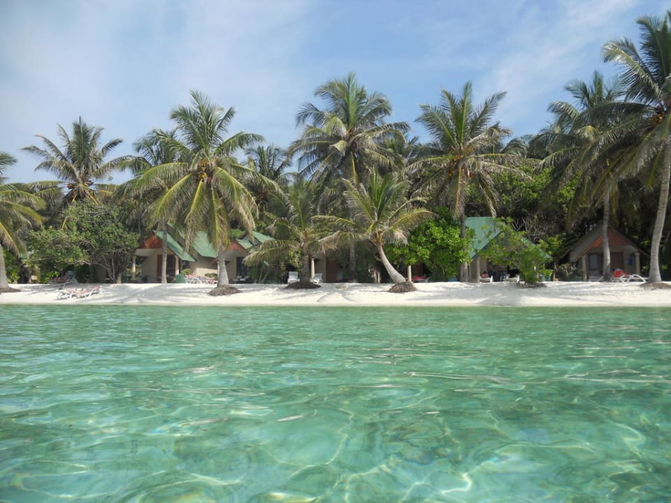 Palmenbucht bei Bungi 55 - ungefähr 65 Summer Island Maldives