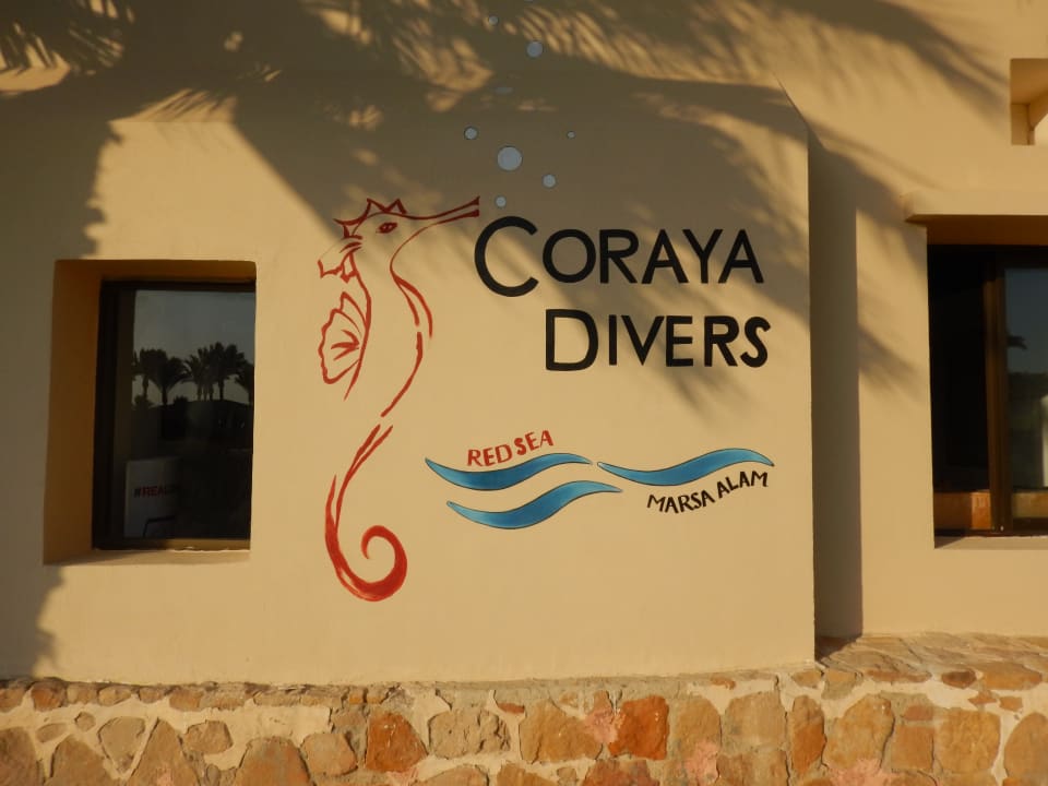 Sonstiges Jaz Solaya