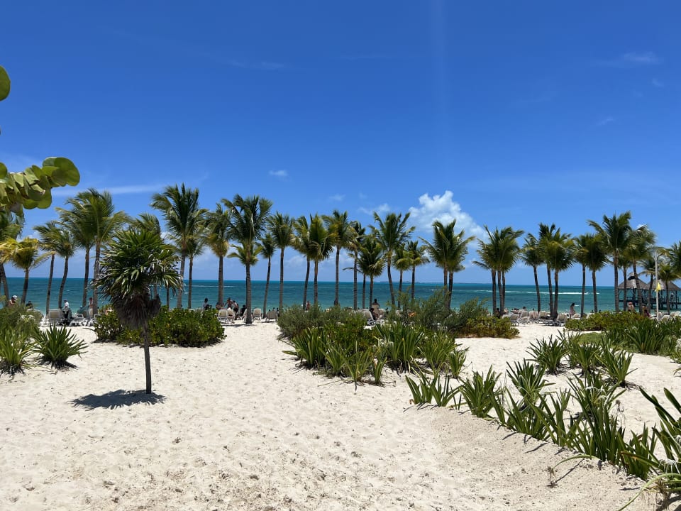 Strand Hotel Riu Dunamar