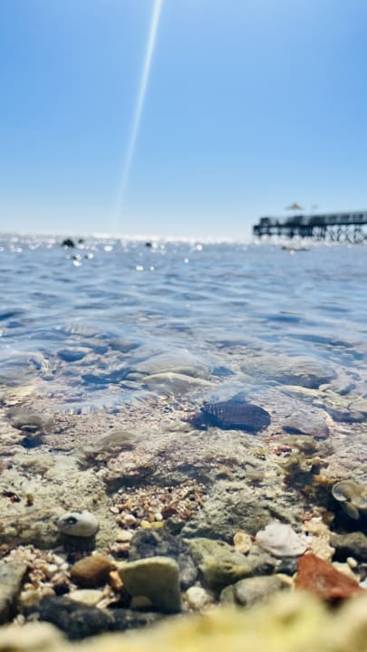 Strand Serenity Alpha Beach