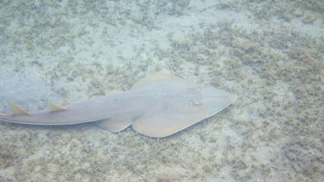 Sport & Freizeit Hotel Gorgonia Beach Resort