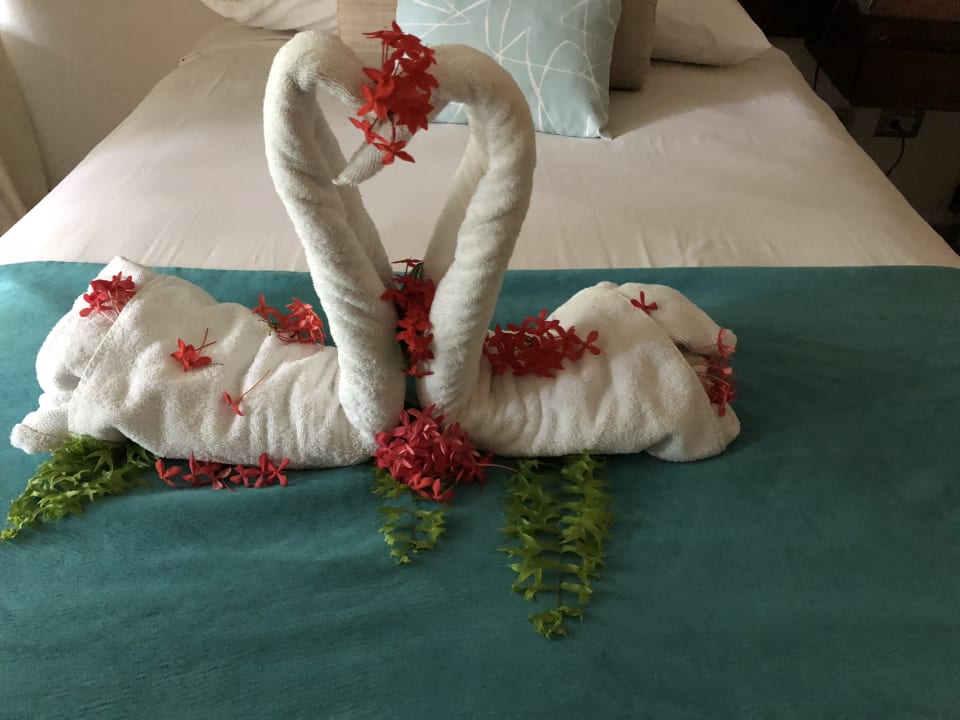 Zimmer Wyndham Alltra Samana