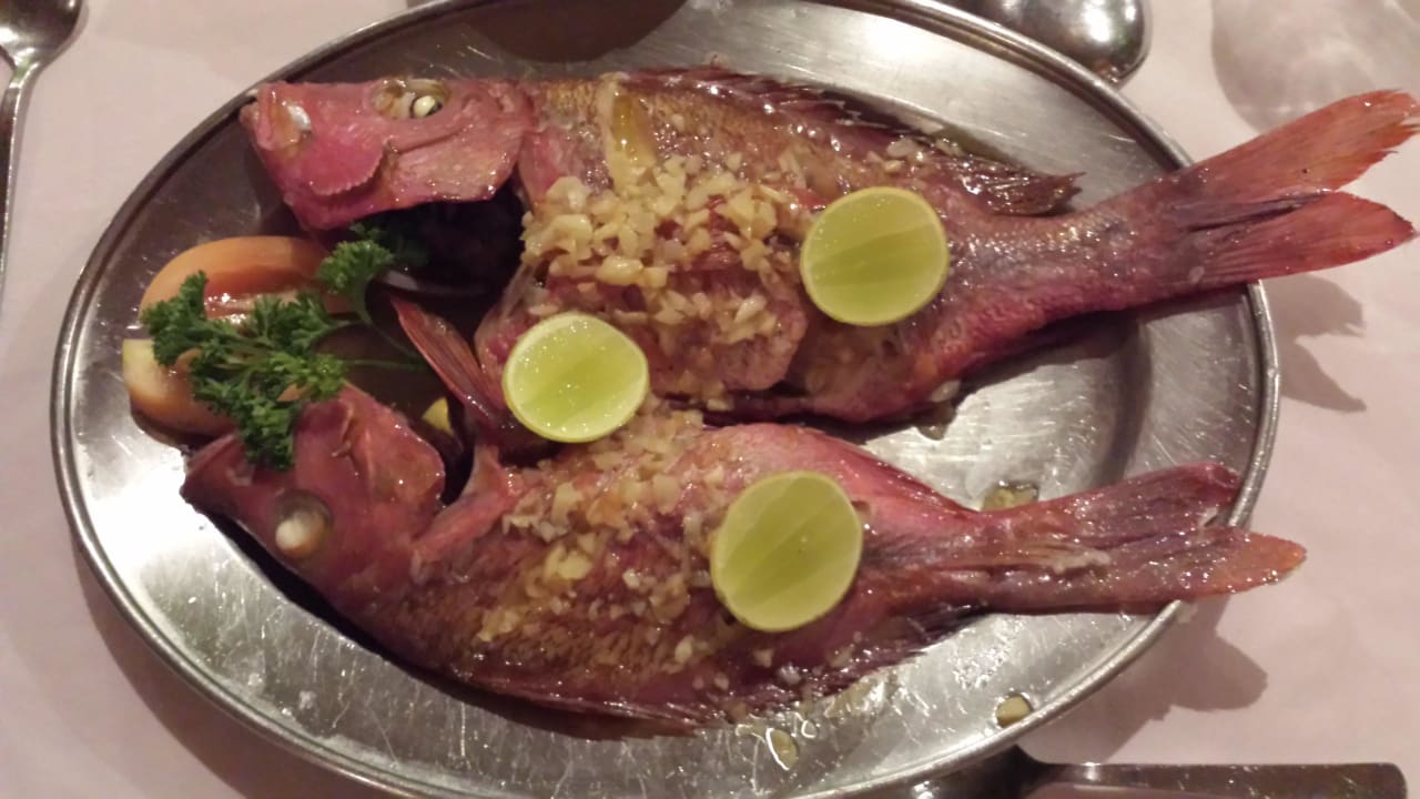 Nachtfischen  Embudu Village