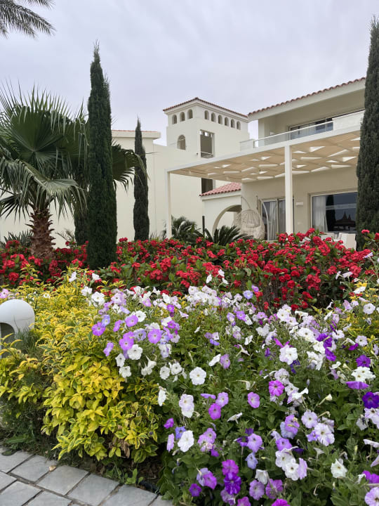 Gartenanlage Pickalbatros Dana Beach Resort - Hurghada