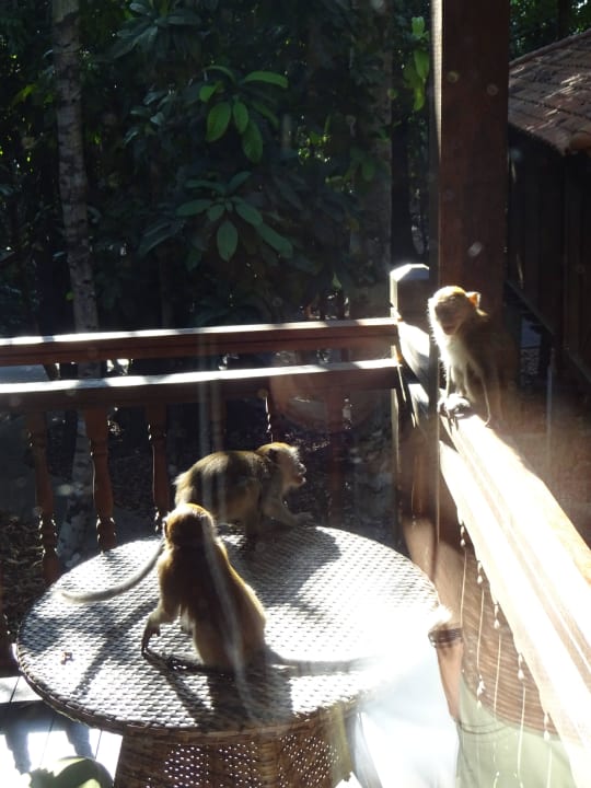 Besuch Berjaya Langkawi Resort