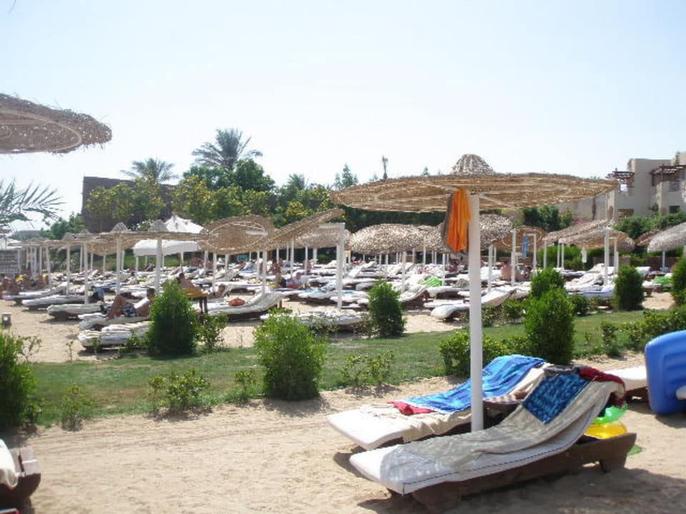 Na plaży Prima Life Makadi Resort