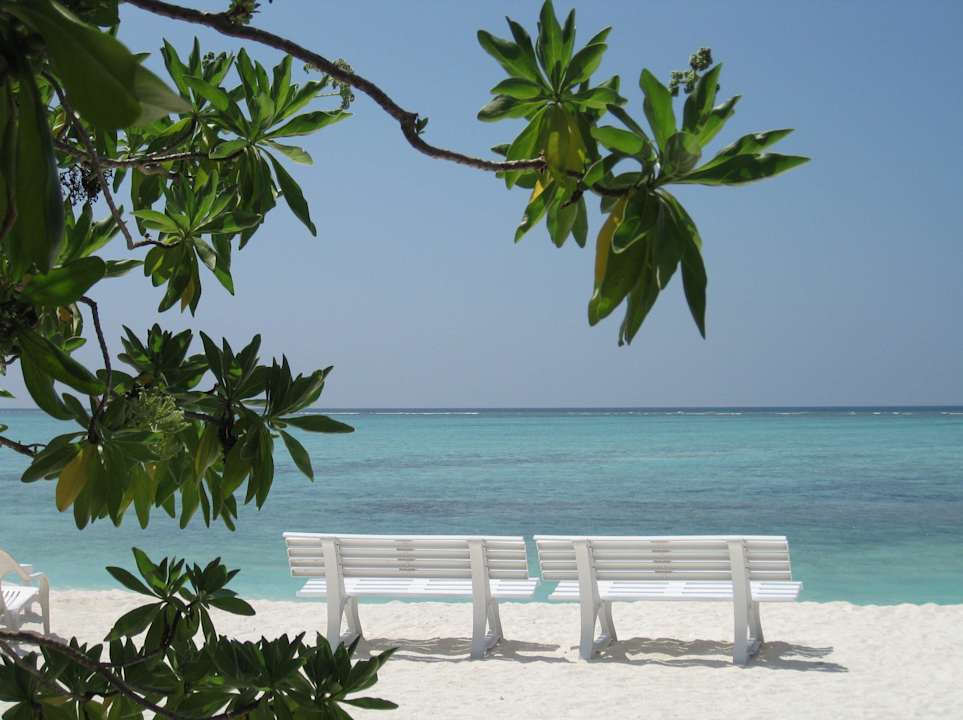 Platz für zwei - oder vier Summer Island Maldives