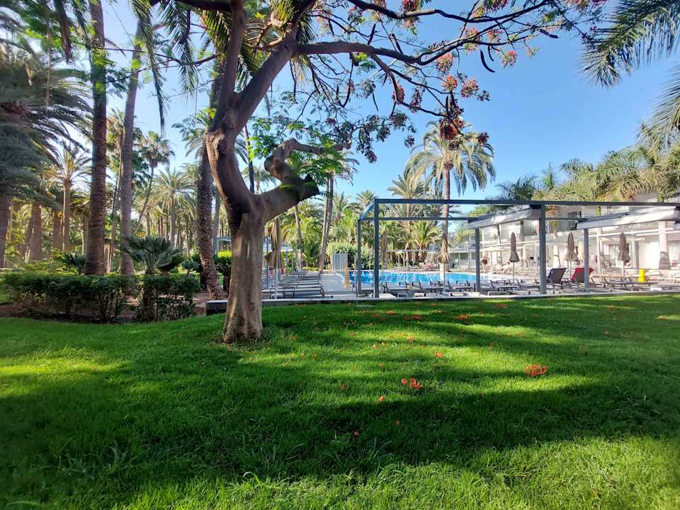 Gartenanlage Hotel Riu Palace Oasis