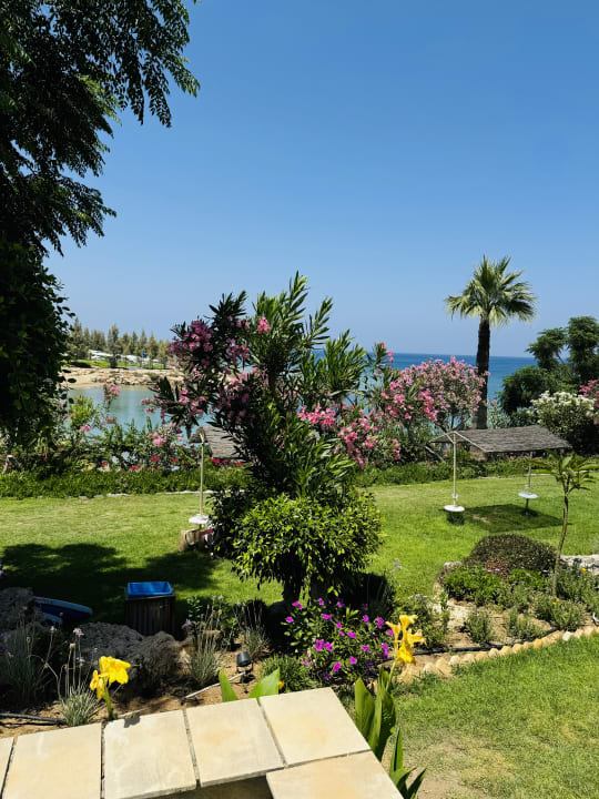 Gartenanlage Crystal Springs Beach Hotel