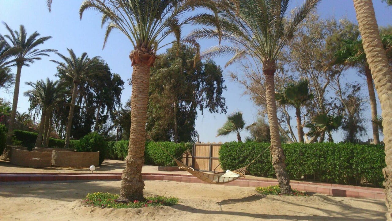 Hängematte am Strand Mövenpick Resort El Quseir