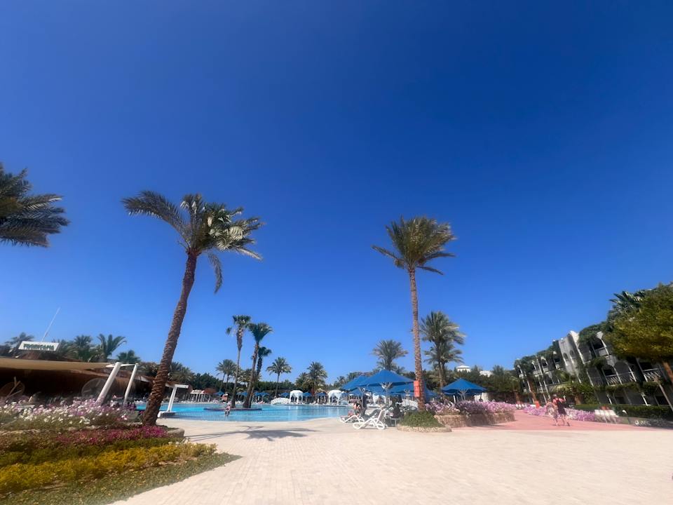 Gartenanlage Desert Rose