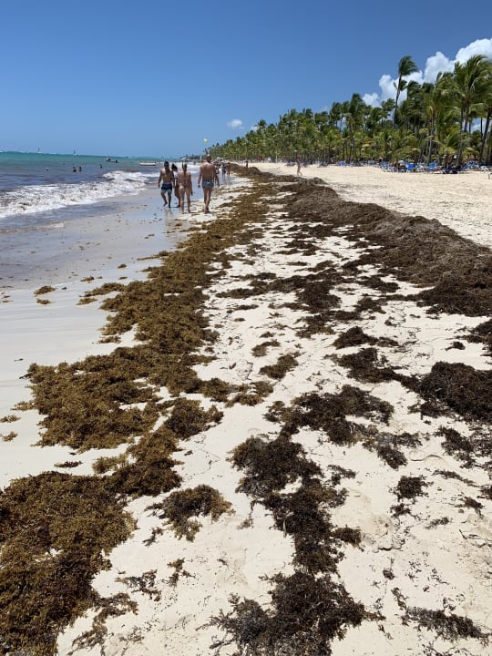 Strand Hotel Riu Palace Punta Cana