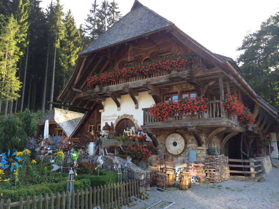 Aussenanlage Hotel Tannenmühle
