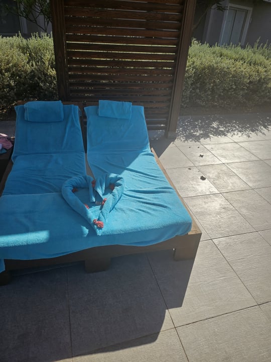 Pool Steigenberger Resort Ras Soma