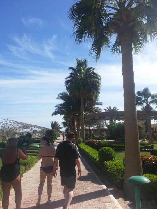 Albatros White Beach Giftun Azur Resort